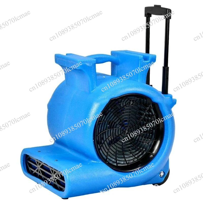 Dryer Power Tools BF535 Electric Fan Portable Air Hair Dryer Ground Dehumidification Hair Speed Carpet