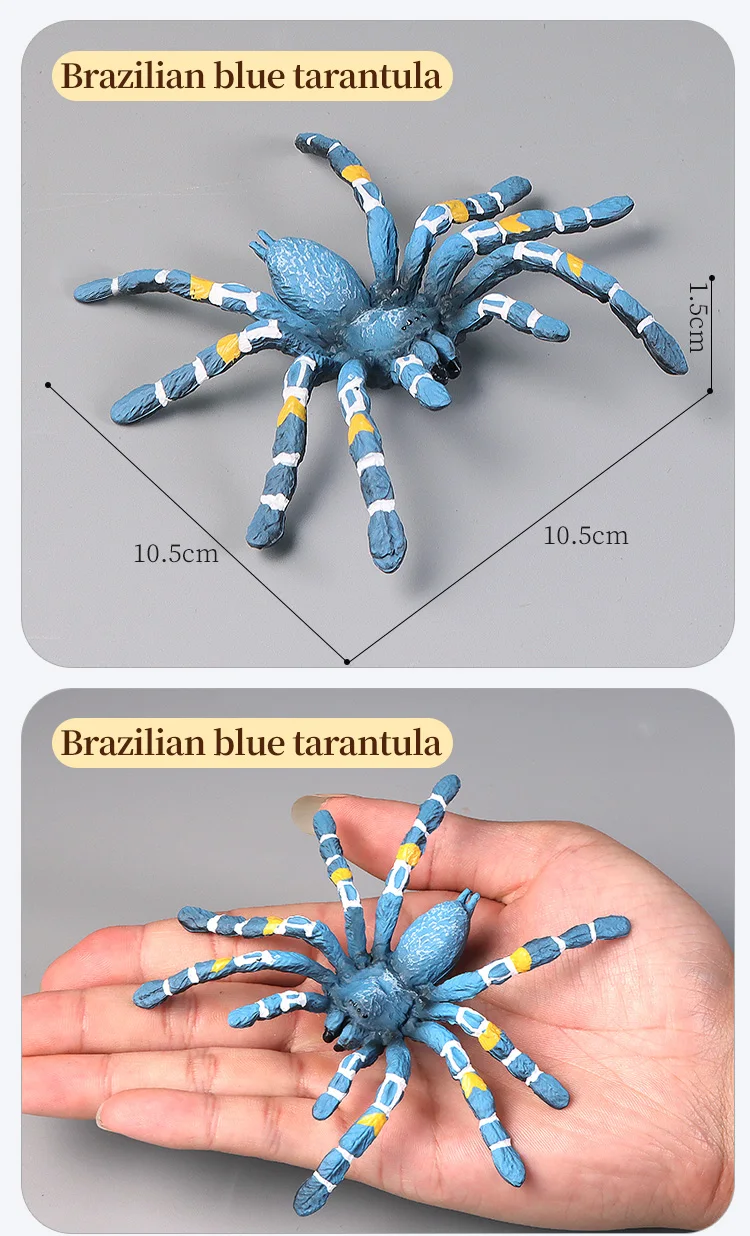Pädagogische Insekten Spinne Spielzeug Zoo Action Figur Set Tier Welt Wissenschaft Kognitive Lernen Modell Simulation Dekor für Kinder – Detail 8