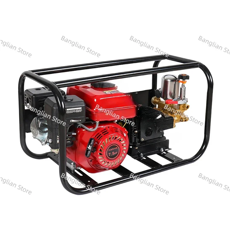 Four-stroke Gasoline High Pressure Sprayer Agricultural Orchard Sprayer Triple Cylinder Plunger Pump Sprayer