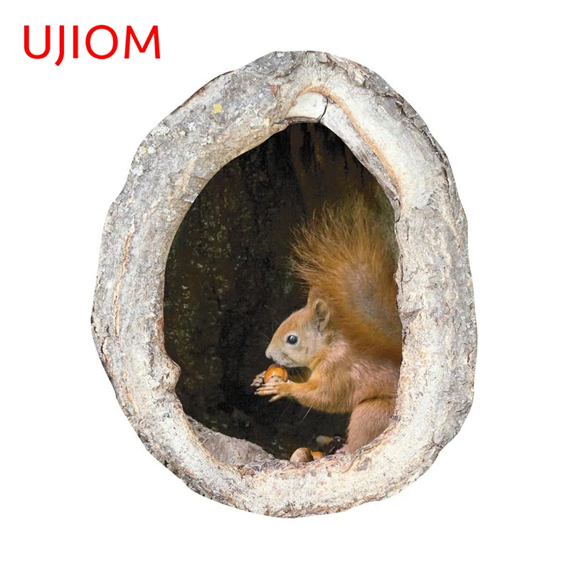 UJIOM 13cm x 10,8 cm Nette Eichhörnchen In EIN Loch Wand Aufkleber Kreative Nette Decals Scratch-Proof Schlafzimmer koffer Haus Dekoration