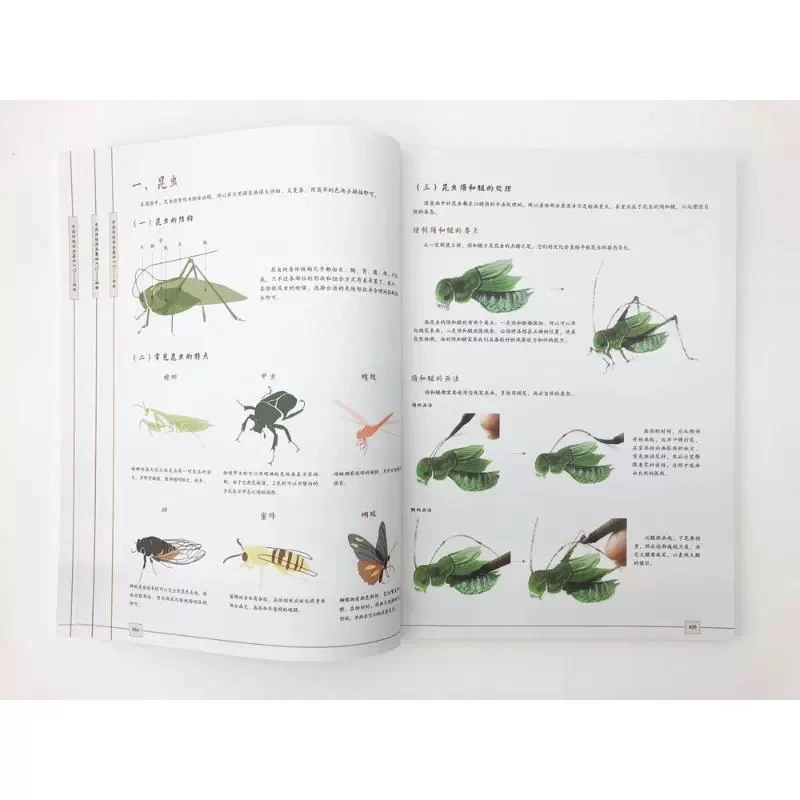 Introduction to Traditional Chinese Painting Drawing Art Book For Landscape Mountains, rocks, trees, cloud water Step by Step