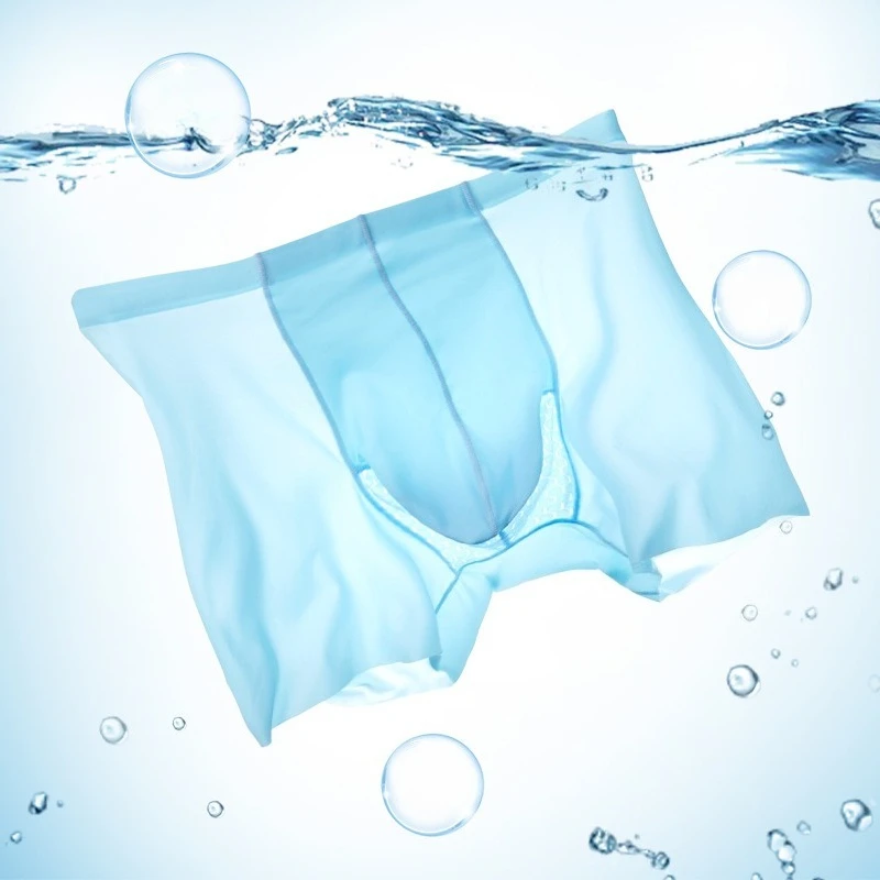 Man Summer Ice Silk Underwear Boxers Breathable Net Elephant Nose Panties Super Thin Underpants Soft Lingerie Nylon Penis Pouch