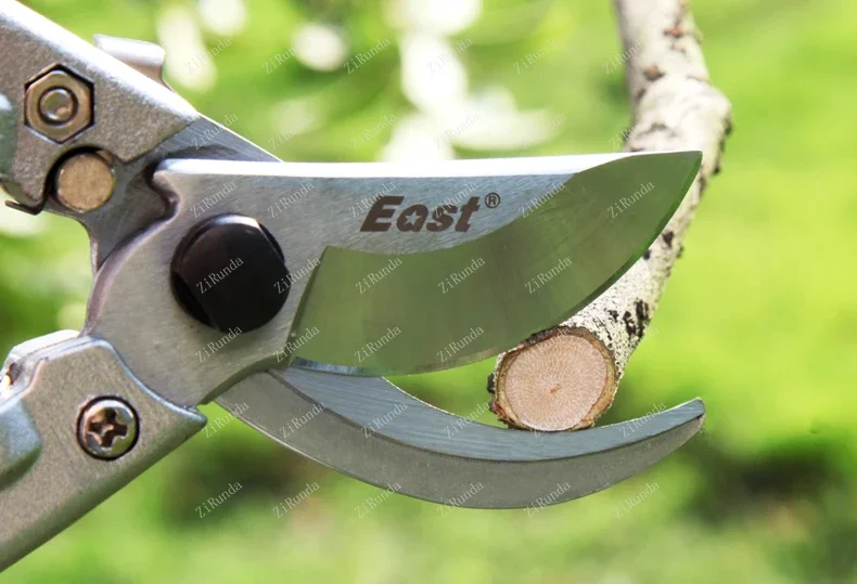 Pruning pruning tree branches scissors flower branches scissors garden pruning scissors fruit tree flowers