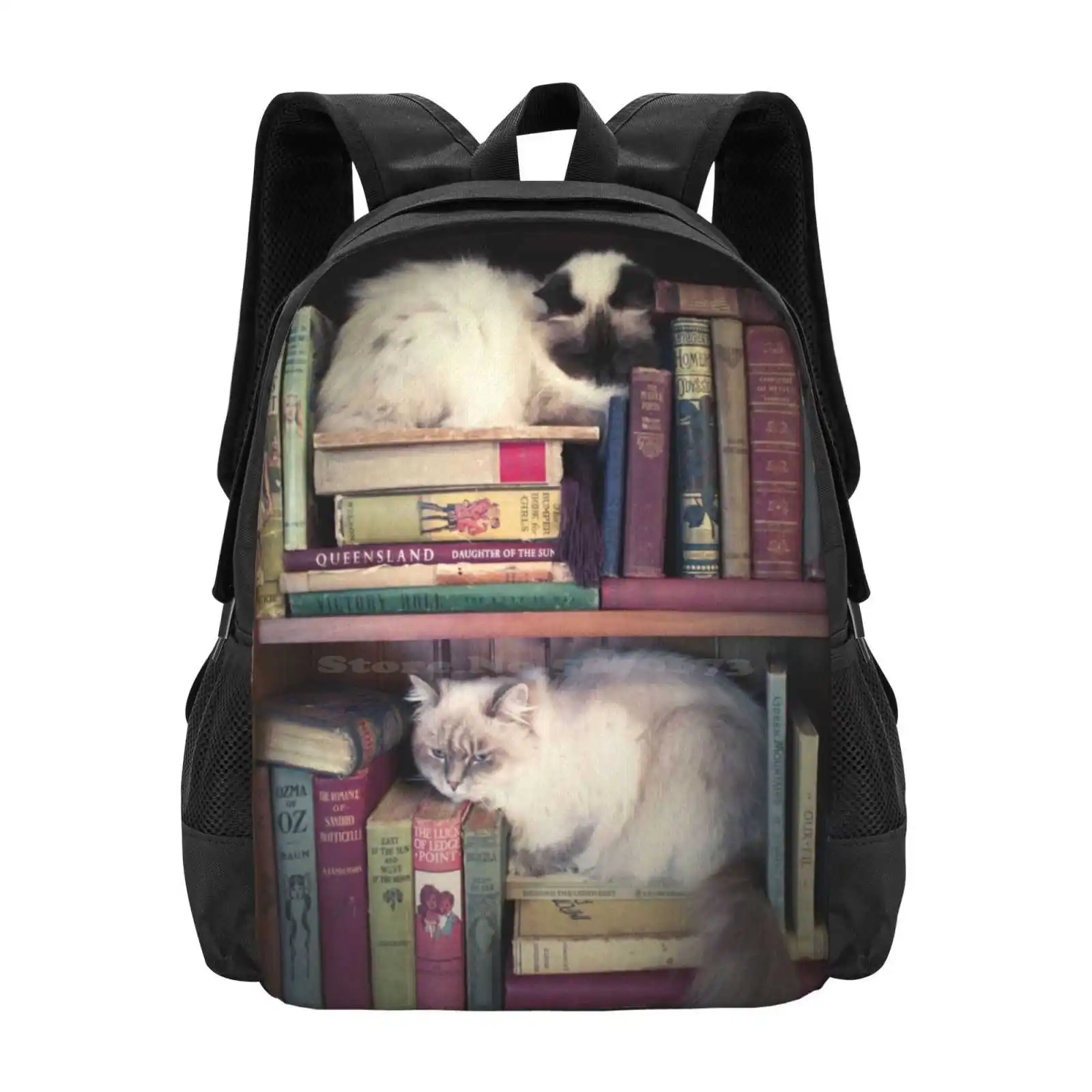 Library Cats Bag Backpack For Men Women Girls Teenage Cats Books Antique Vintage Library Shabby Chic Birman Ragdoll Himilayan