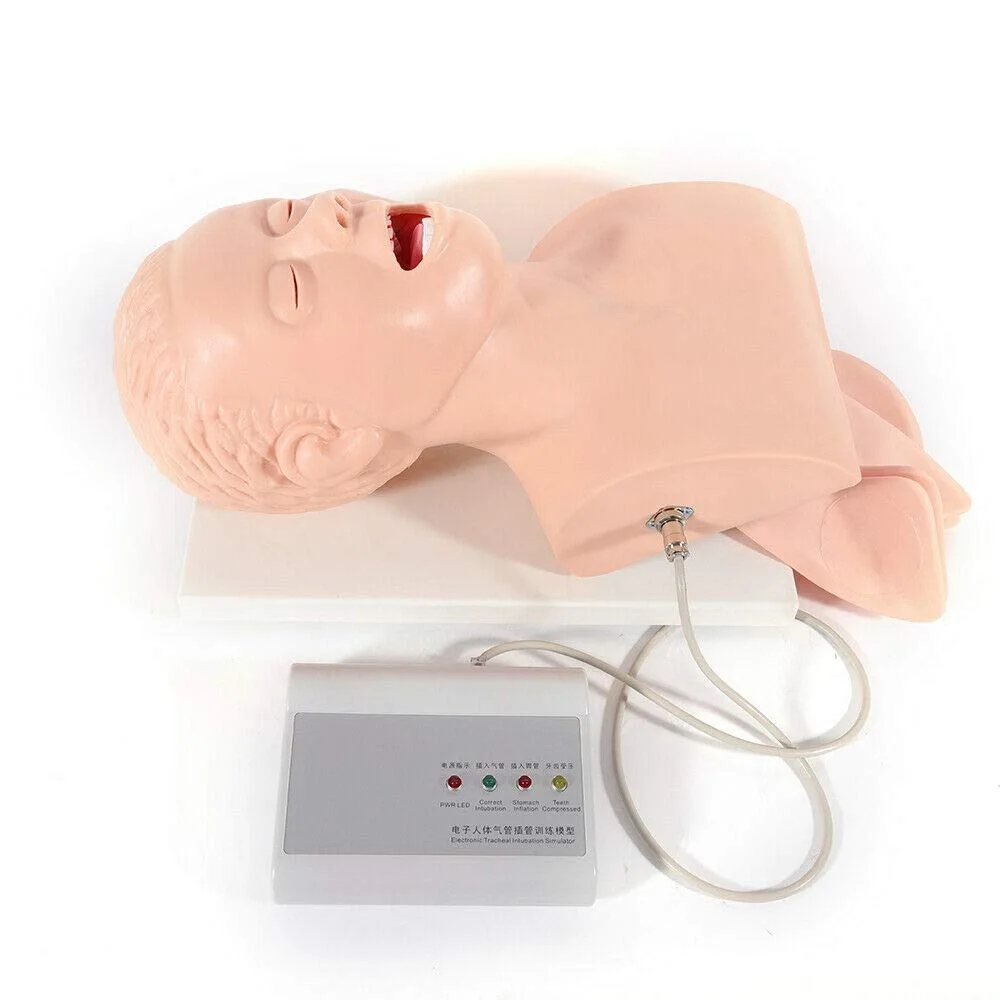 Intubation Manikin Study Teaching Model 220V Oral Nasal Intubation Airway Management Trainer PVC Demo