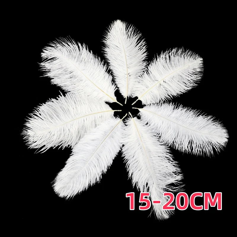 NUPTIO Lot De 10 Grandes Plumes D'autruche Naturelles 30-35cm Pour La Decoration De Votre Maison De Mariage