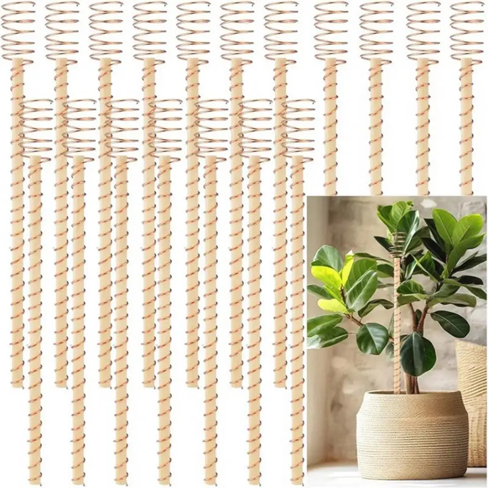 Pure Spiral Antenna for Plants Wire Coil Antennas for High Yield Gardening Indoor Outdoor Plant Stakes Spiral for Electroculture