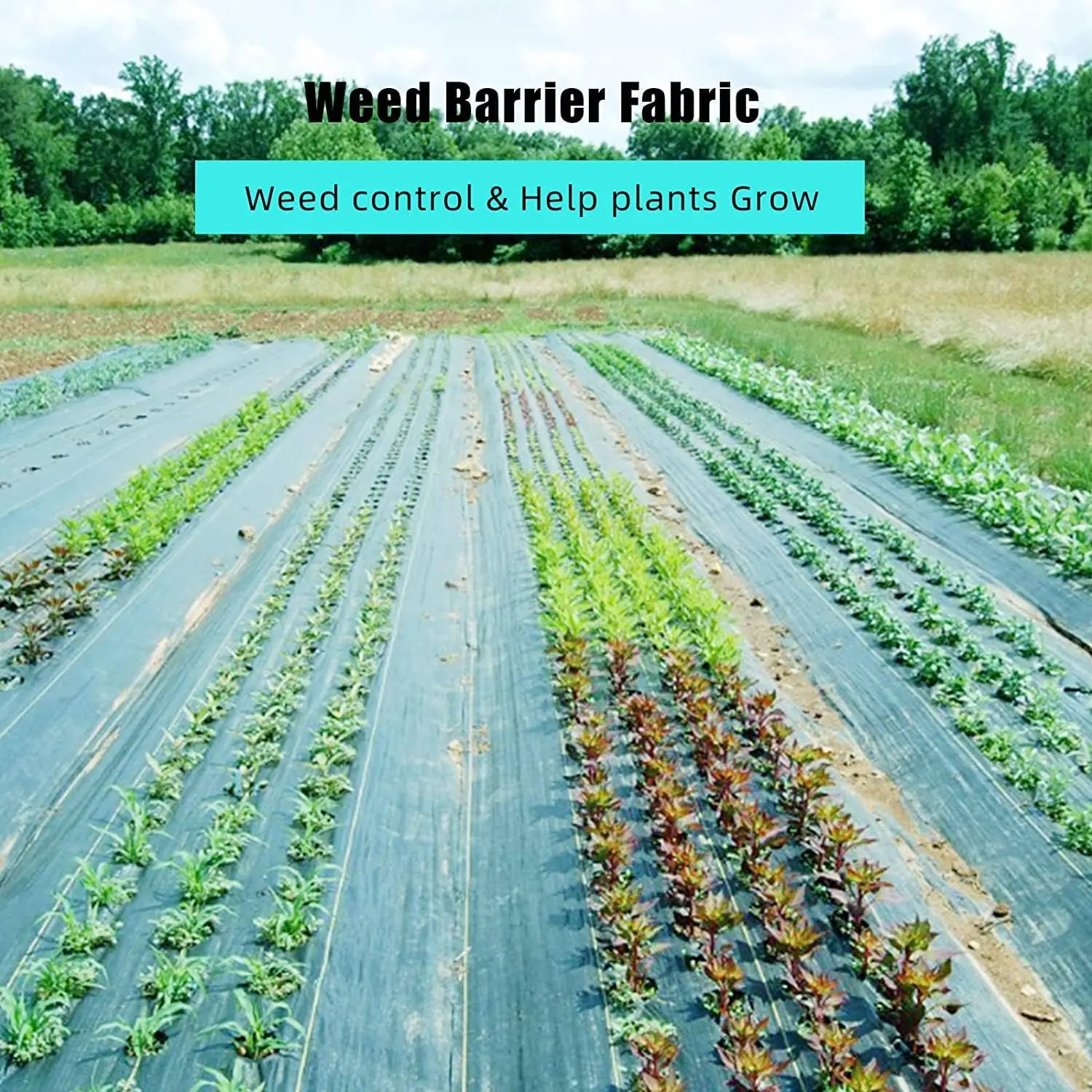 3ft x 300ft Weed Barrier Landscape Fabric, Premium 3.2 Oz Ground Cover Weed Block Gardening Mat for Erosion Control Weed Barrier