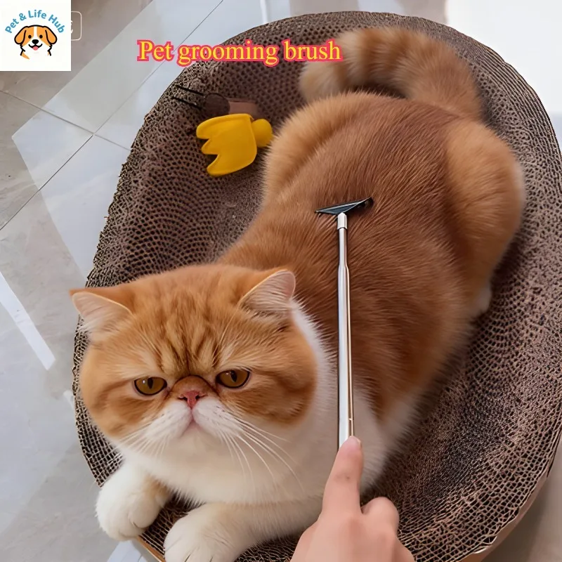 

Котячий маринованный артефакт, игрушка-палка для кошек, рельефный массаж, царапающая выдвижная расческа, расческа, щетка, товары для домашних животных