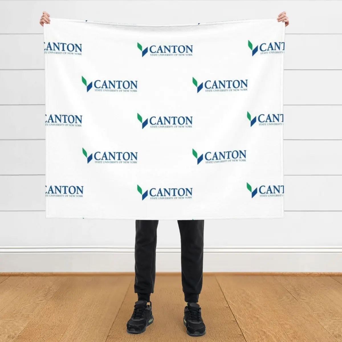 

SUNY Canton Throw Blanket Soft Beds Hairy Single Vintage Blankets