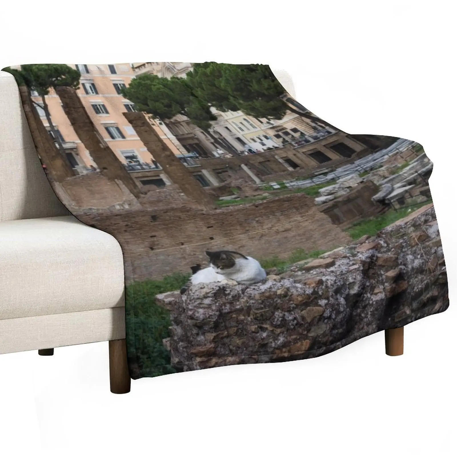 Oh So Rome - Cats, Umbrella Pines and Ancient Ruins Throw Blanket Designers Extra Large Throw Blankets