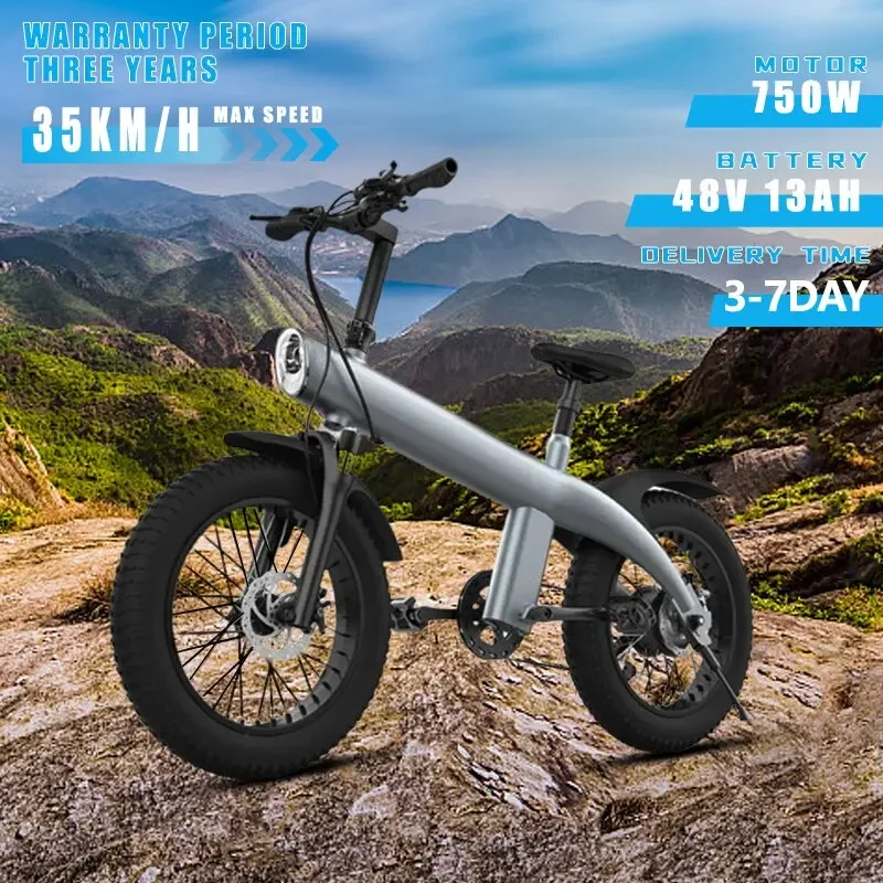 

E Bike 20*4.0 Inch Fat Tire Electric Bike 750W Motor 48V13AH Battery Variable Speed Shock Absorption Mountain Electric Bicycle