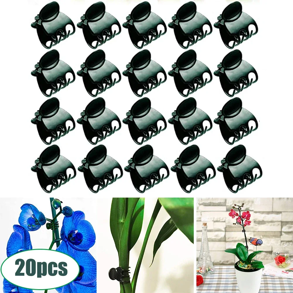 

20Pc Plastic Garden Clip Phalaenopsis Orchid Clip Plastic Grafting Flower Garden Plant Clips Garden Tools