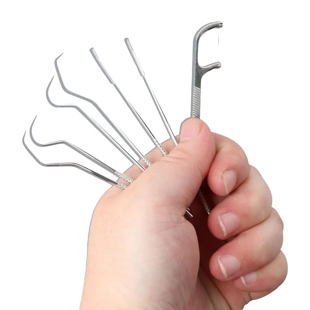 

Oral Cleaning Tool Seal Storage Box Tooth Flosser Tooth Pick Toothpick Pocket Set Keychain Holder Stainless Steel Toothpick Set