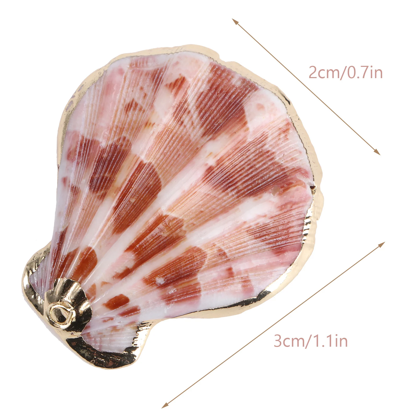 20Pcs Natural Shell Jewelry Accessories Gold-Rimmed Mixed Conch Types for DIY Earrings Necklace Party Use Shell Ornaments