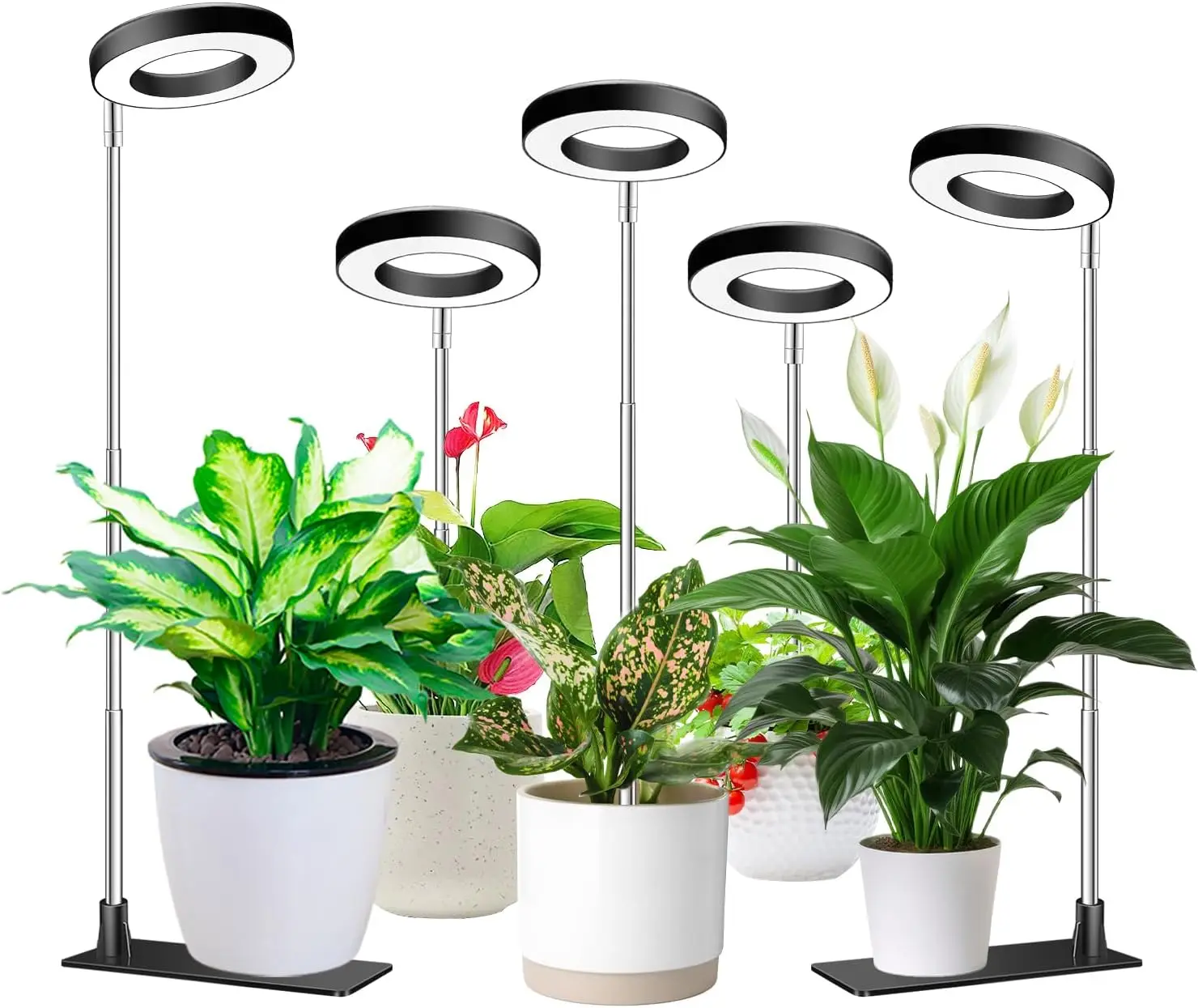 

Full Spectrum Adjustable Grow Light for Indoor Plants with Timer, 3 Modes, 10 Brightness Levels - 5 Pack