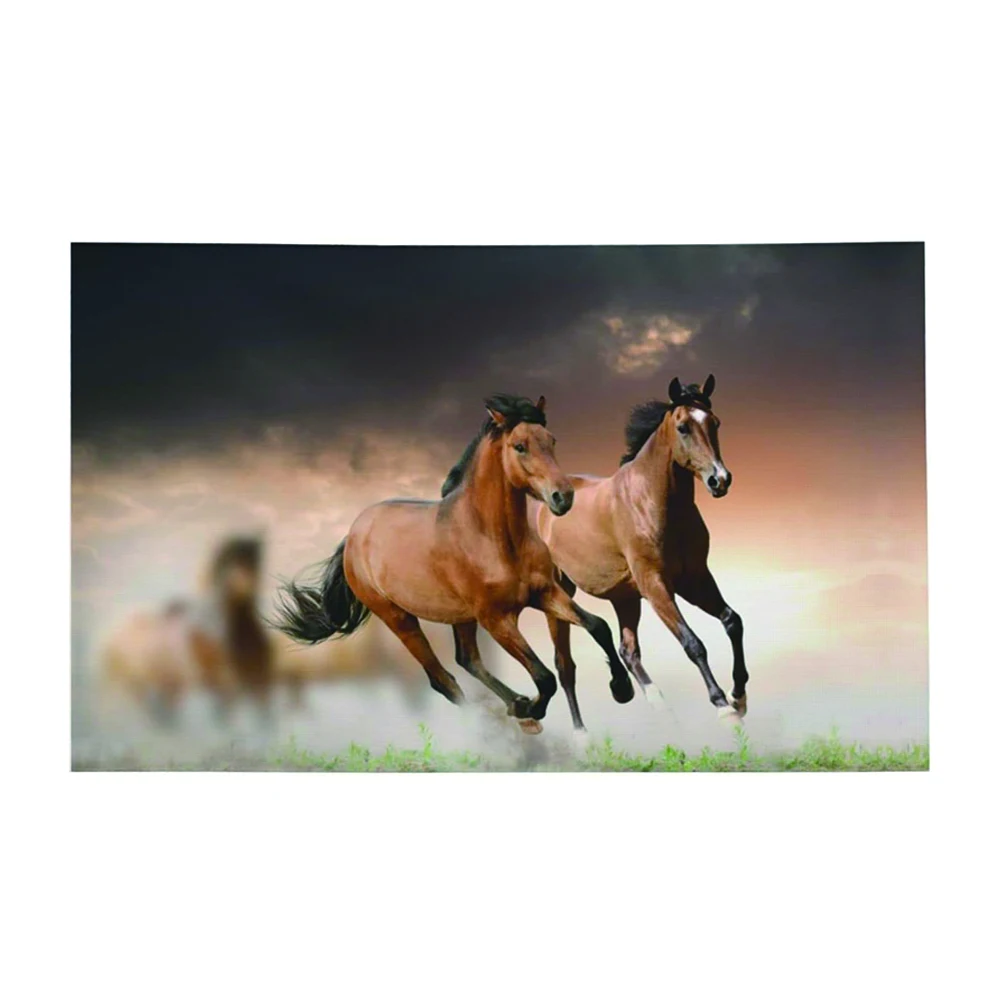 Outdoor Flags Runni… - image