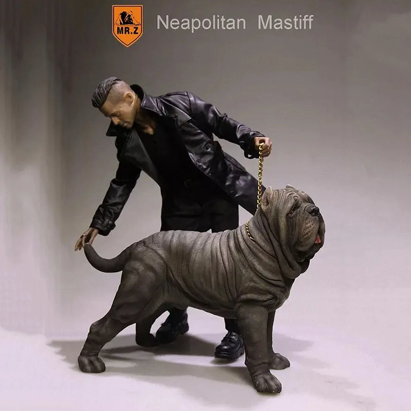 

1:6 Scale Mr.Z Resin PVC Miniature Animal Model Neapolitan Mastiff Dog Model Toy fit 12" Action Figure Toys Accessories