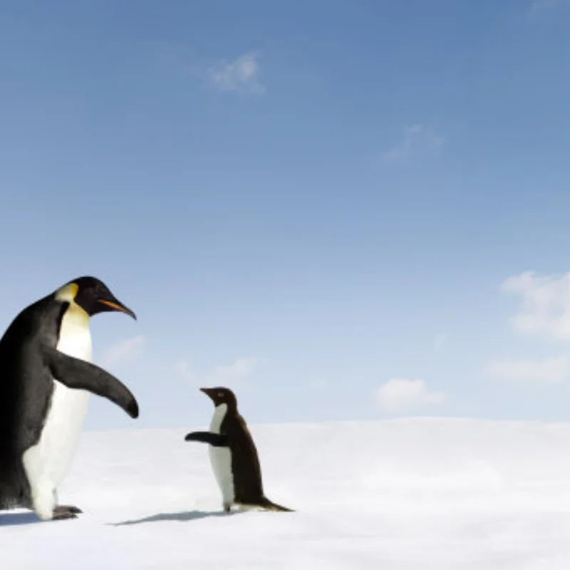 

Рама кузова автомобиля на радиоуправлении, колесная база 260 мм, система вождения 4WD 4WD для 1/10, детали гоночного автомобиля, обновления, аксессуары