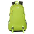 Fluorescent Green
