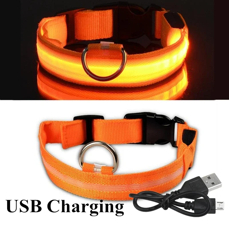 USB Rechargeable Pet Dog LED Glowing Collar  Luminous Flashing Necklace Outdoor Walking  Night Safety Supplies Dog Harness