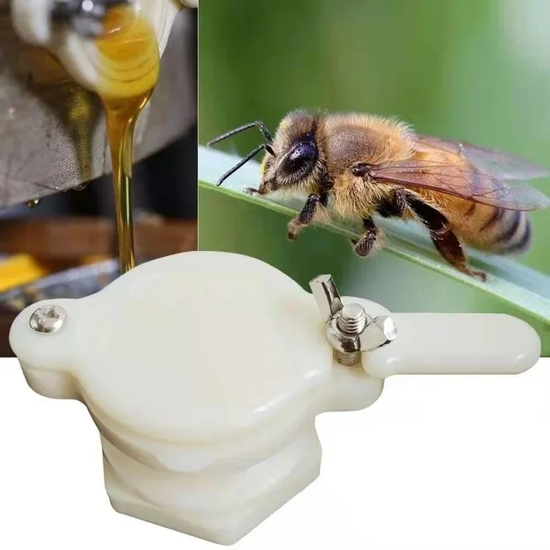 1Pc Bee Honey Tap Gate Valve Extractor Bottling Machine 4 Colors Hive Beekeeping Equipment Tools