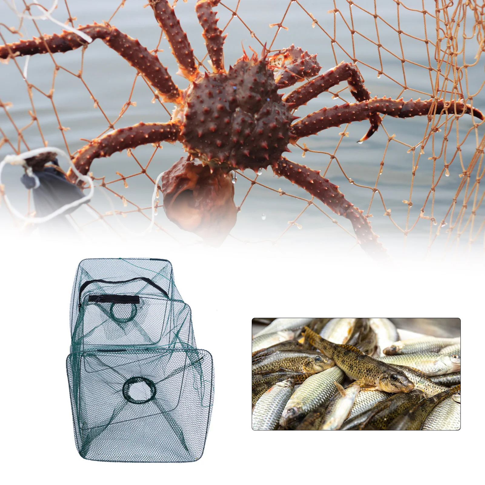 شبكة صيد قابلة للطي، قفص أسماك - مراجعة Aquarium Fish Trap وسعره