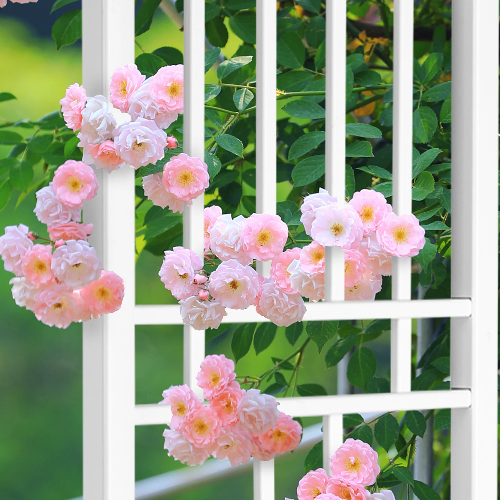 

White Garden Trellis 28"W x 75"H for Climbing Plants, Vinyl Trellis Indoor Outdoor Plant Support for Vines, Flowers, Vegetables