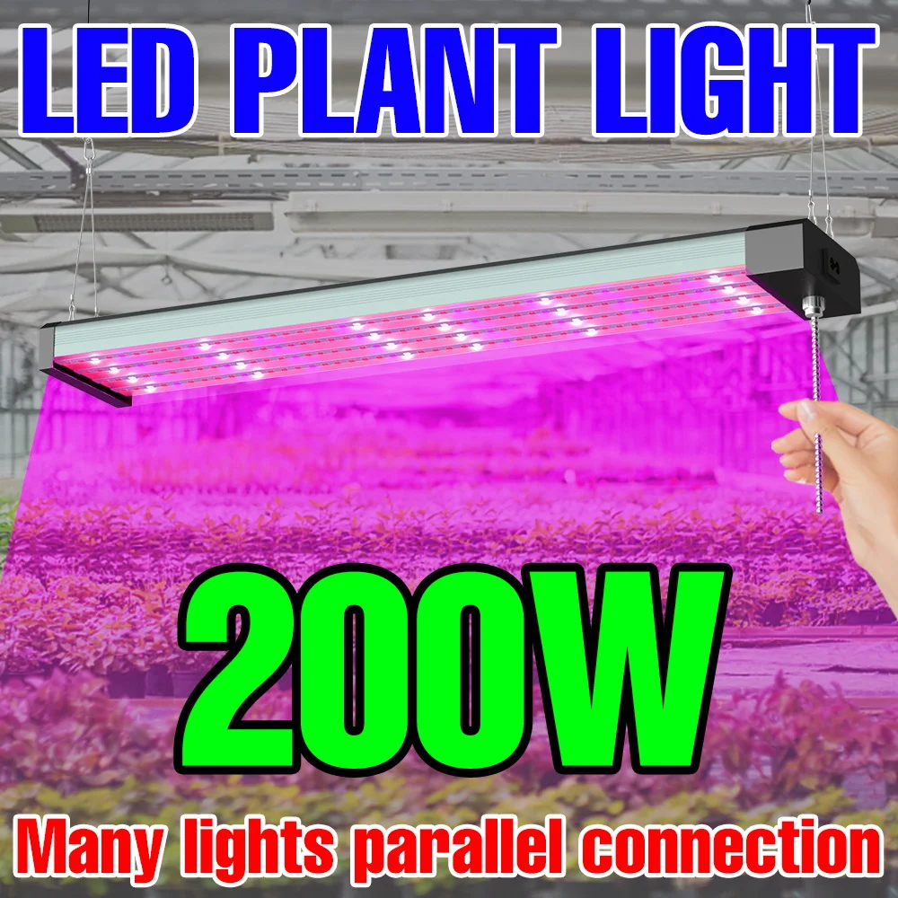 

200W LED Plant Grow Light Full Spectrum Quantum Board Growth Lamp Indoor Flower Hydroponic Greenhouse Succulent Moss Cultivation