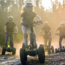 Patinete eléctrico para todo terreno, Scooter con batería de litio, ATV, 4x4, 6000W, Original, perfecto, oferta directa de fábrica