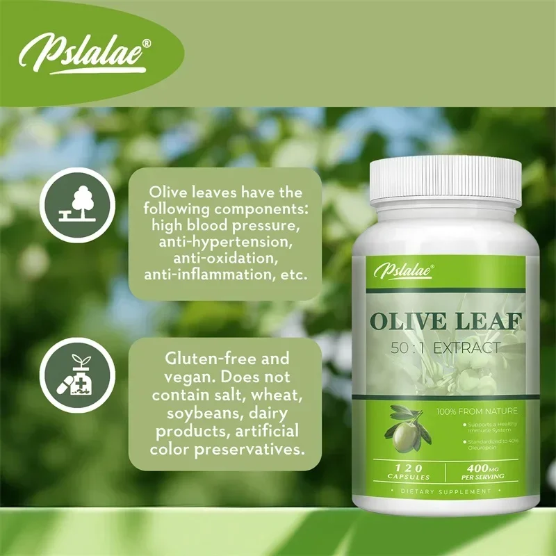 Olive Leaf - Supports Immune System and Cardiovascular Health, Promotes Blood Circulation