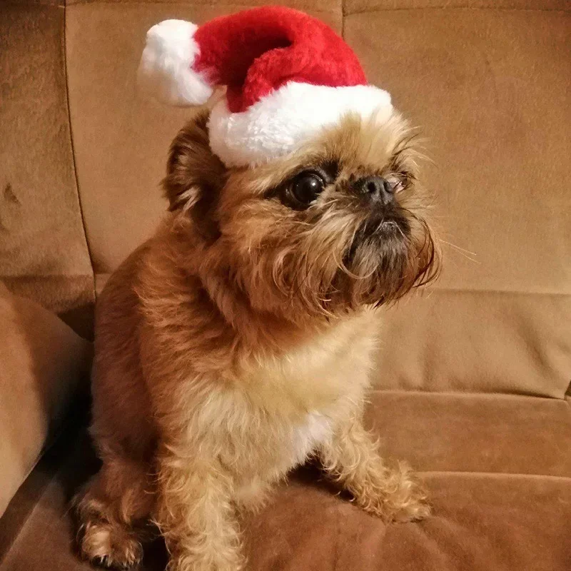 Cappello di natale Pet piccolo inverno caldo peluche cappello di babbo natale per cane gatto buon natale decorazioni natale capodanno Noel Navidad regalo