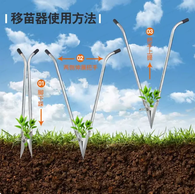 Vegetable seedlings, flowers, potatoes, seedlings, transplanting, mulch film, hole punching, picking seedlings