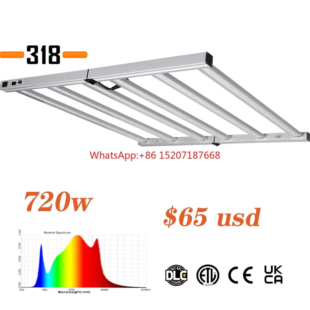 Guangdong Factory L… - image