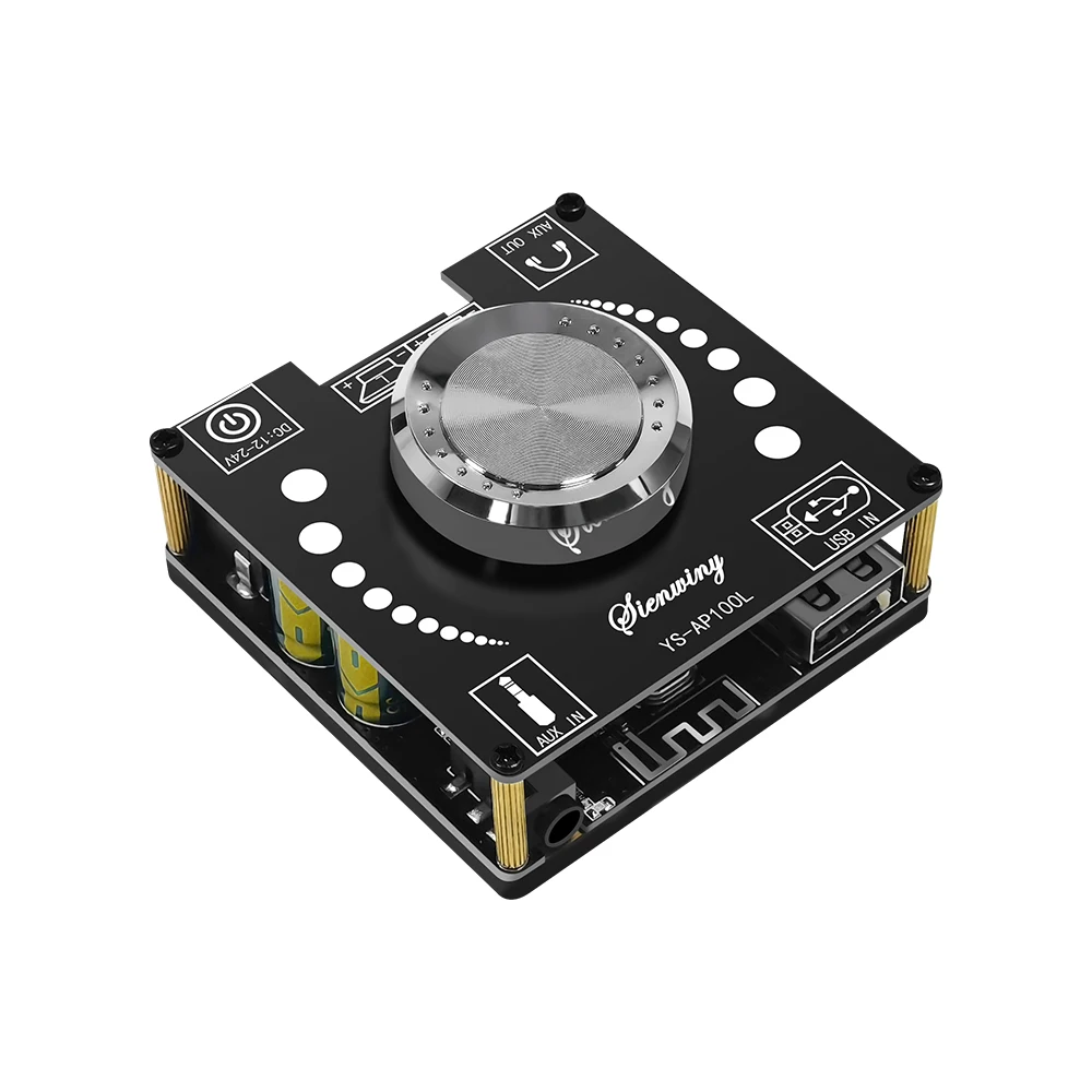 YS-AP100L Scheda amplificatore digitale Bluetooth 100W + 100W Scheda amplificatore stereo a doppio canale Scheda amplificatore + Adattatore DC