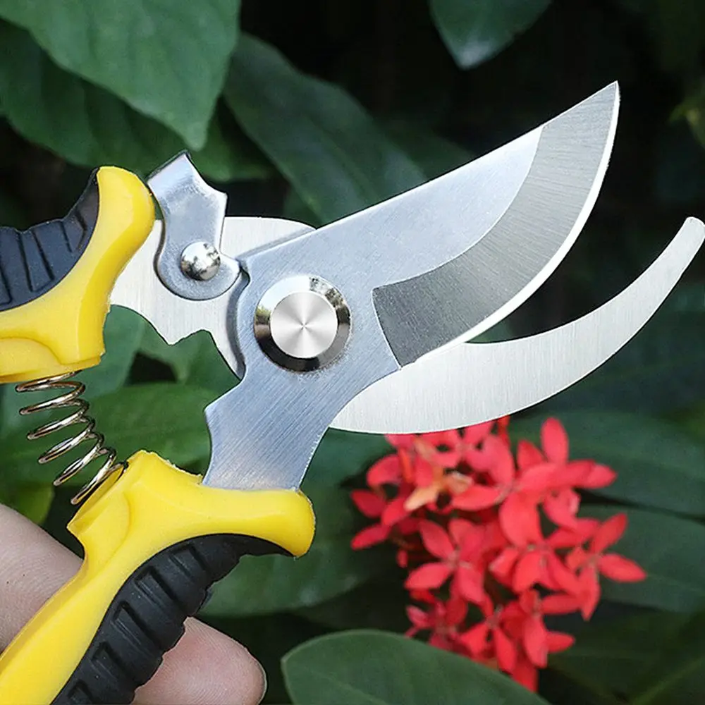 

Pruner Garden Scissors Professional Sharp Bypass Pruning Shears Tree Trimmers Secateurs Hand Clippers For Garden Beak Scissors