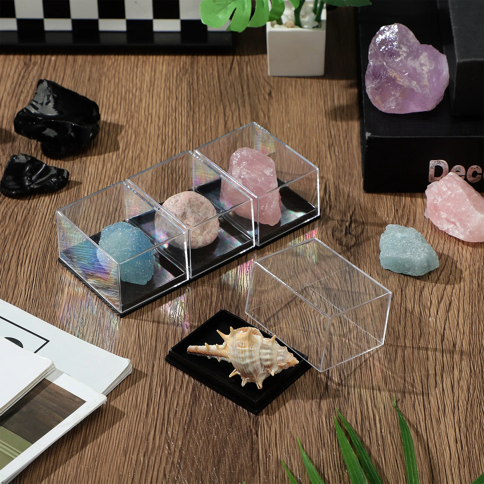 4Pcs Clear Display Boxes Specimen Container Mineral Sample Case Transparent Organizer for Desktop Storage Craft Beads Jewelry