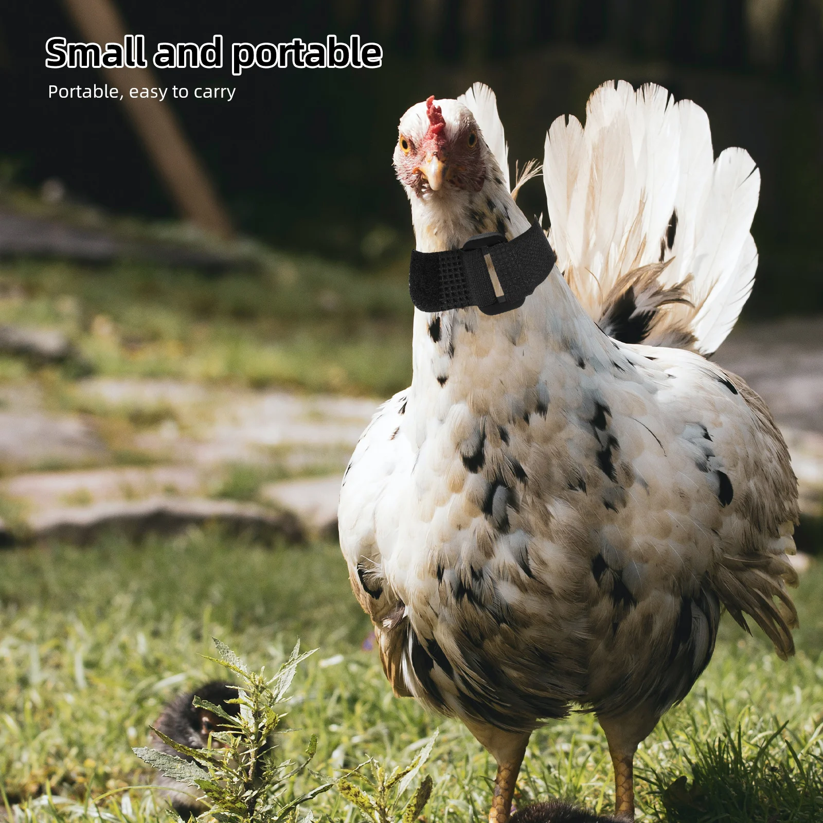 

2Pcs Anti Crow Rooster Collar Red Comfortable Adjustable Neckbands Noise- Screaming Chicken Replacement Crowing-Proof