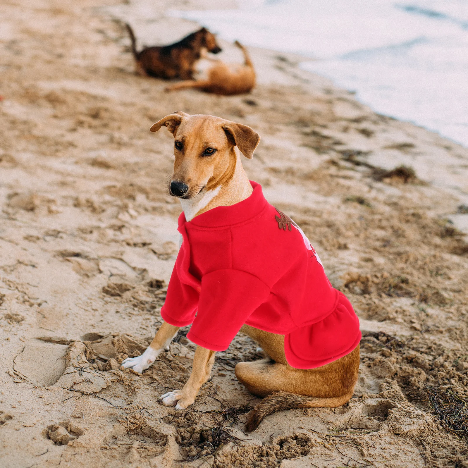 

Dog Christmas Skirt Adorable Snowman Design Cotton Pet Clothes for Small Dogs Holiday Outfit Walking Jogging Outdoor Activities