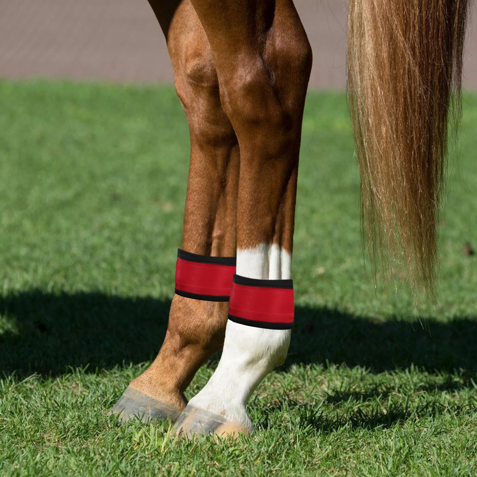 

4 Pcs Horse Ankle Strap Leggings Cycling Bracelets Light Collar Equipment Halloween Tack Glowing Band