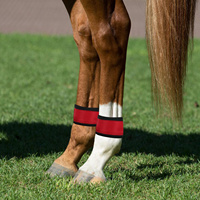 4 Pcs Horse Ankle Strap Leggings Cycling Bracelets Light Collar Equipment Halloween Tack Glowing Band