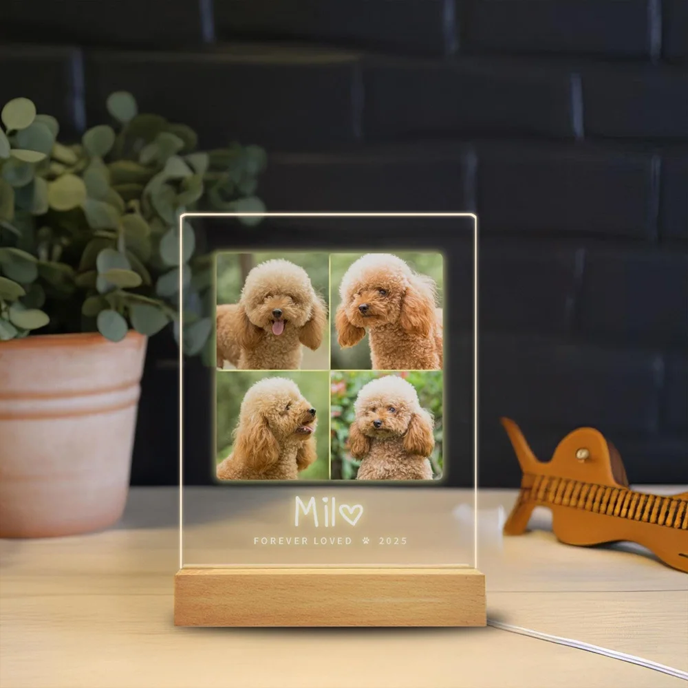 Marco de fotos con nombre personalizado para perro, placa con imagen de mascota conmemorativa, un regalo conmemorativo táctil para que perde un perro amado
