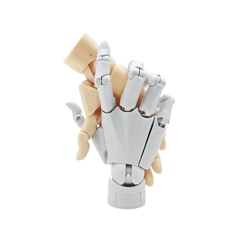 1:1 Dito articolato mobile Gashapon 1/2 Modello a mano Palma Pittura Arte Modello in miniatura Strumento di riferimento Mano Desktop Decoratoion