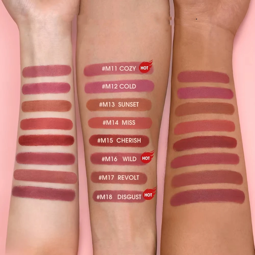 Lápiz labial mate de larga duración, brillo de labios multicolor sedoso, lápiz labial de terciopelo Natural resistente al agua para mujer