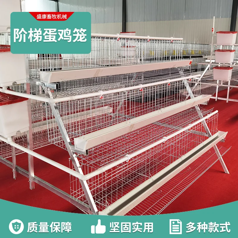 

Household ladder laying chicken cage breeding farm laying chicken and duck extra large three-layer bilateral 4 doors 5 doors