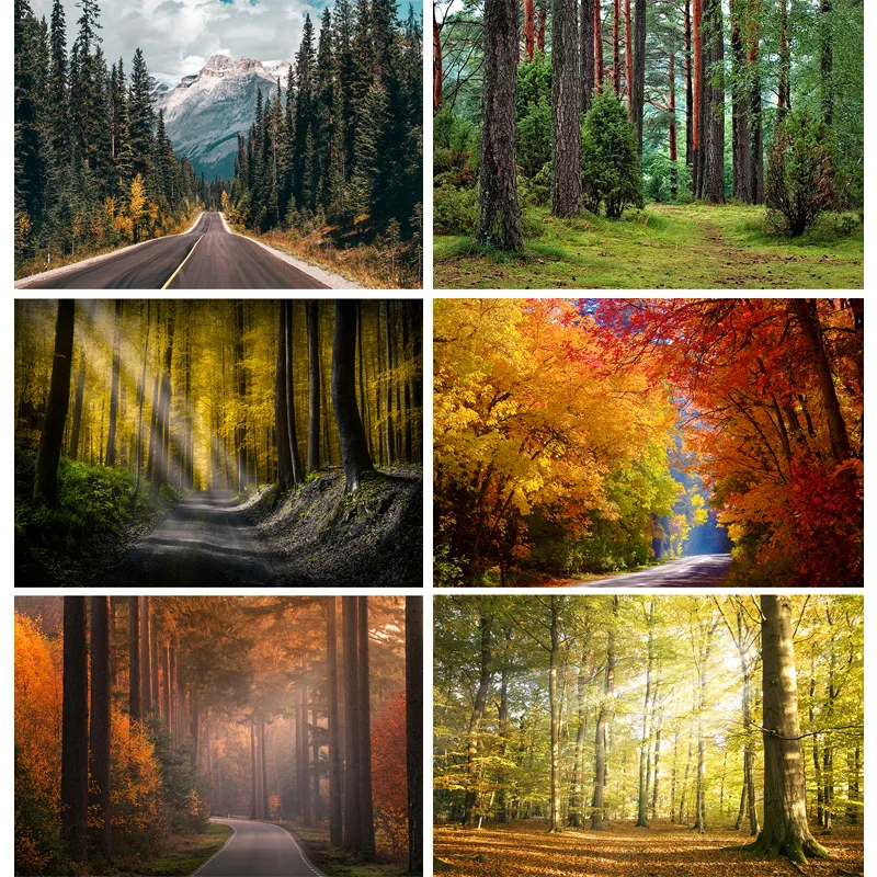 

SHUOZHIKE Natural Scenery Photography Background Forest River Landscape Travel Photo Backdrops Studio Props 22714 SL-02