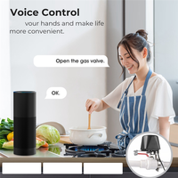 N11R Wifi Robot Waterproof Valve Tuya Smart Remote Control APP Remote Control Water Pipe Gas Wireless Valve Switch US Plug