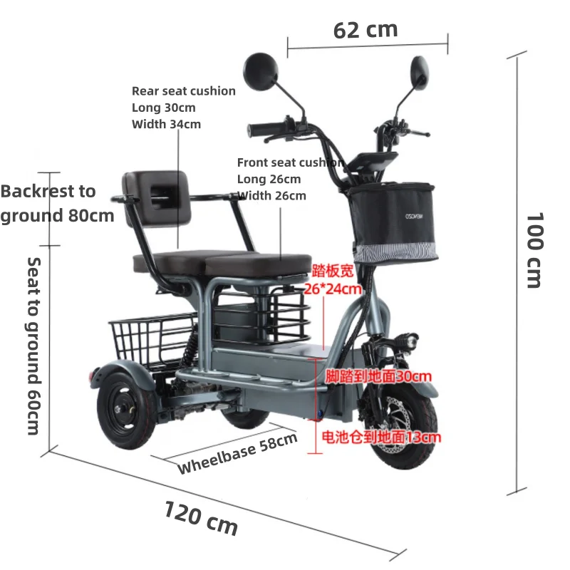 Adult Electric Tricycle 2 People Powerful 800W 48V 10 Inch 3 Wheel Electric Scooter For Seniors with Removable Lithium Battery