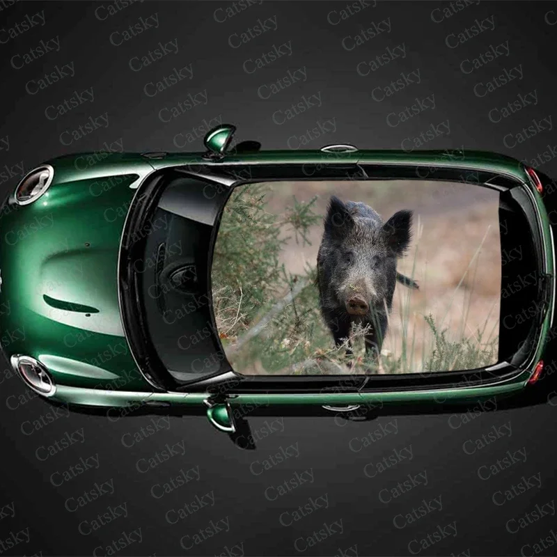 

wild boar ferocious animal Car stickers roof sunroof decorative stickers vinyl self-adhesive modified itache car stickers decals