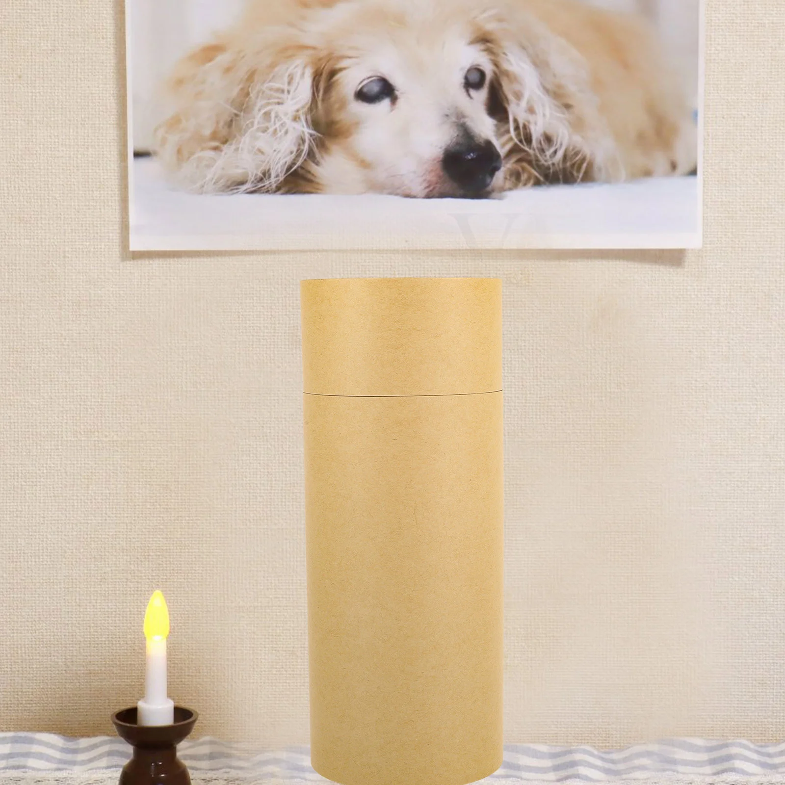 

Keepsake Urn for Pet Ashes Biodegradable Scattering Box with Moisture Protection Ideal Cat Dog Memorial Ceremony Container